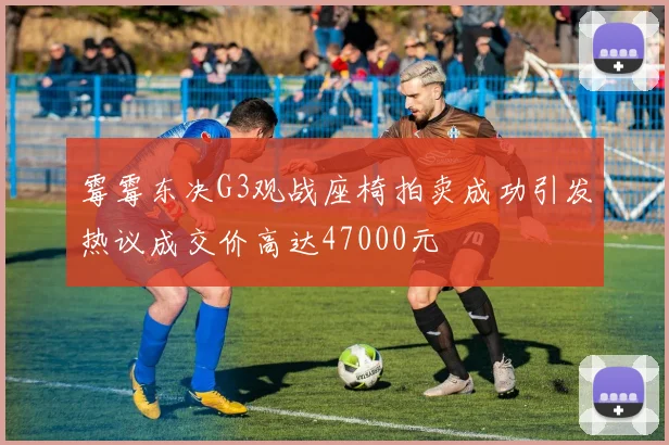 霉霉东决G3观战座椅拍卖成功引发热议成交价高达47000元