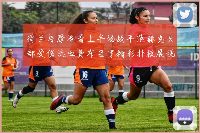荷兰与摩洛哥上半场战平范赫克头部受伤流血费布吕亨精彩扑救展现实力